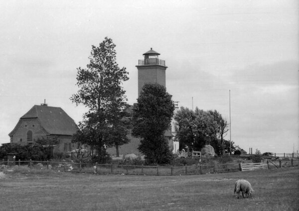 Bild vergr&ouml;&szlig;ern: Schwarz-wei&szlig;-Fotografie des Leuchtturms Pelzerhaken von 1937 mit angrenzendem Geb&auml;ude, B&auml;umen und Schaf auf einer Wiese im Vordergrund