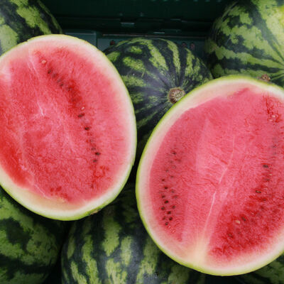 Bild vergr&ouml;&szlig;ern: Melonenzeit auf dem Wochenmarkt